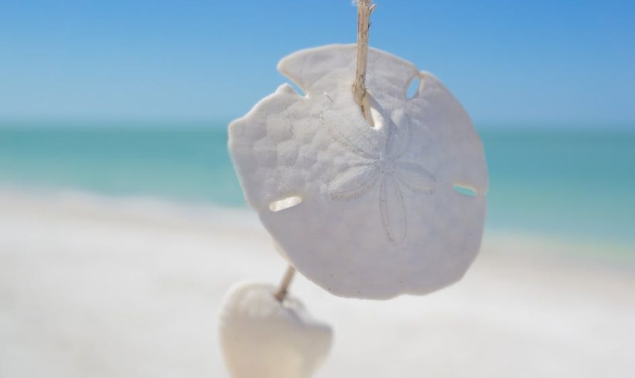 777color Login: Secure Tips for Philippines Gamers